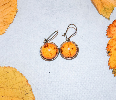 Kolczyki "Złota jesień"